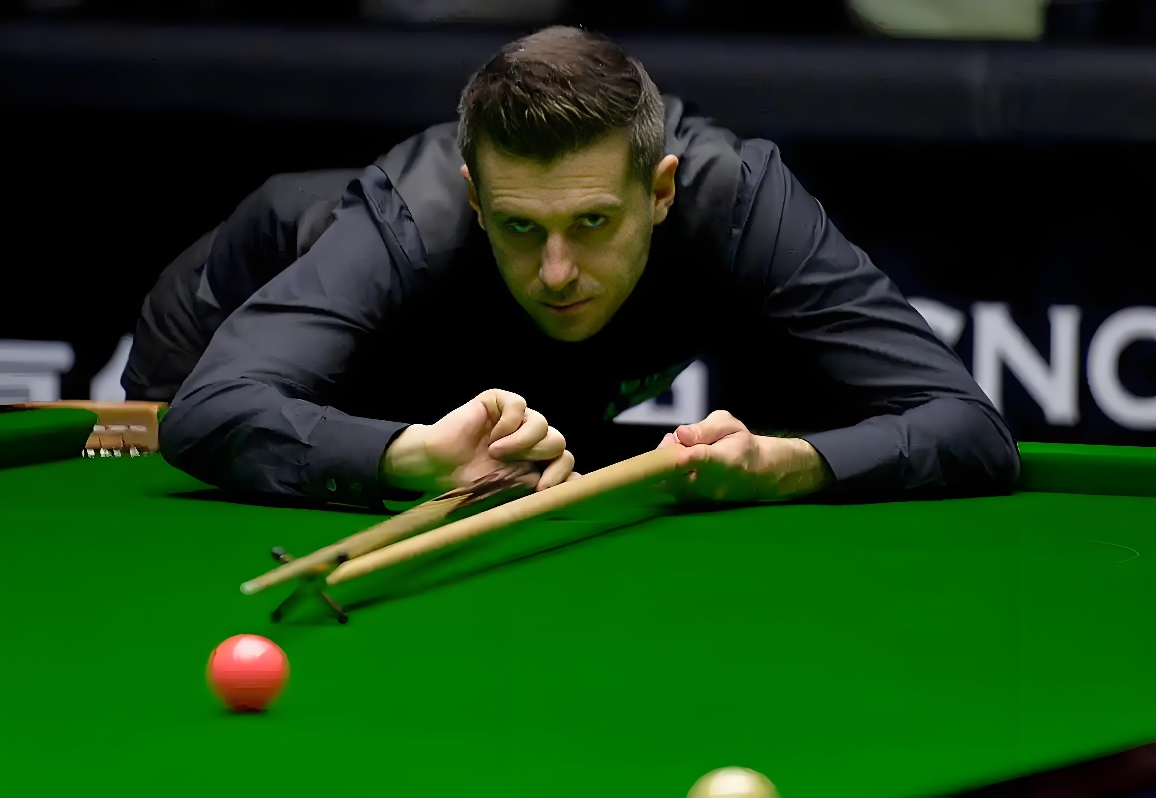 为项目争取 为项目争取