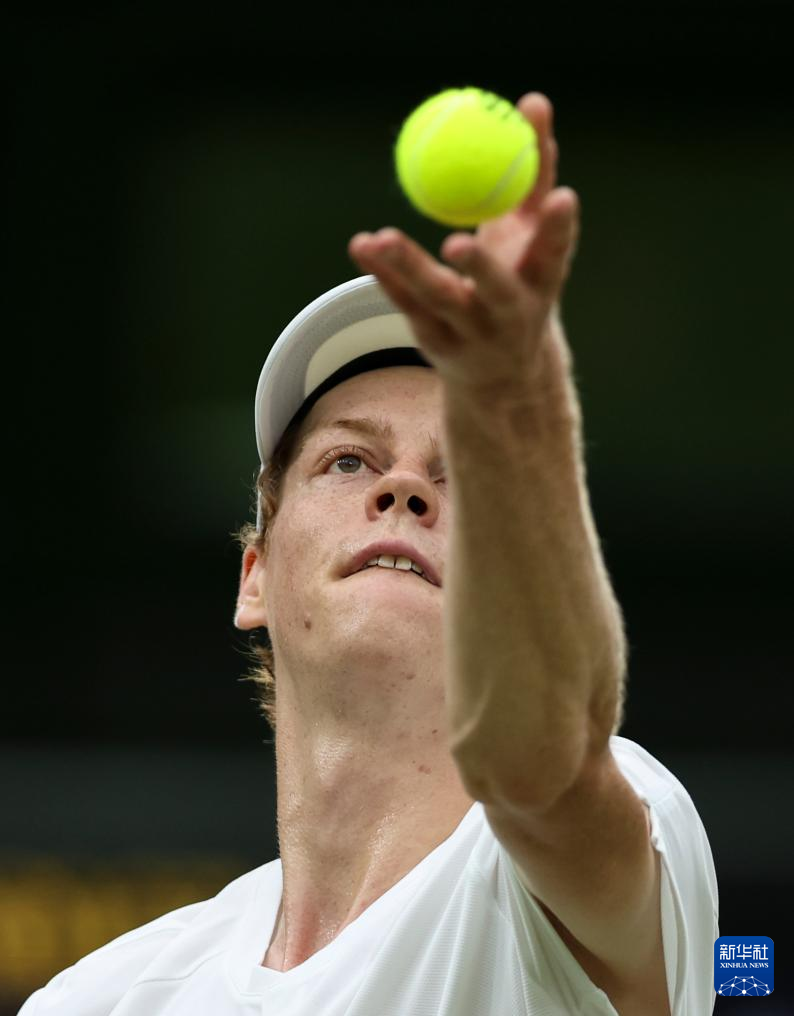 的护城河 的护城河