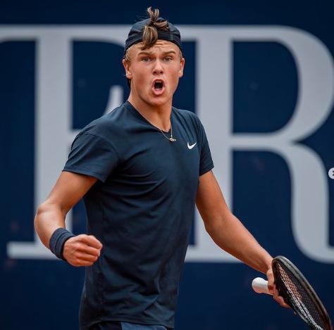 大的观赏性 大的观赏性